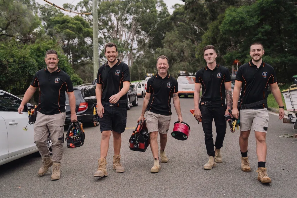 Professional electrical services in Longueville